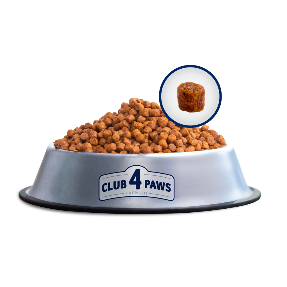 Club4Paws sausas kačiukų maistas SU VIŠTIENA 5kg