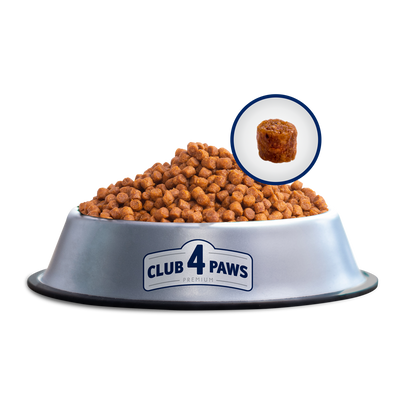 Club4Paws sausas kačiukų maistas SU VIŠTIENA 5kg