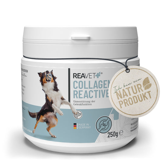 Reavet kolagenas reactive šunims, milteliai - 250g