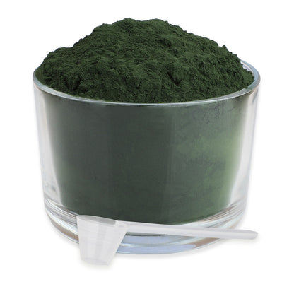 Reavet spirulina šunims ir katėms, milteliai 250g